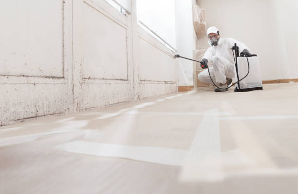24/7 Emergency Attic Mold Remediation experts in Delaplane, VA